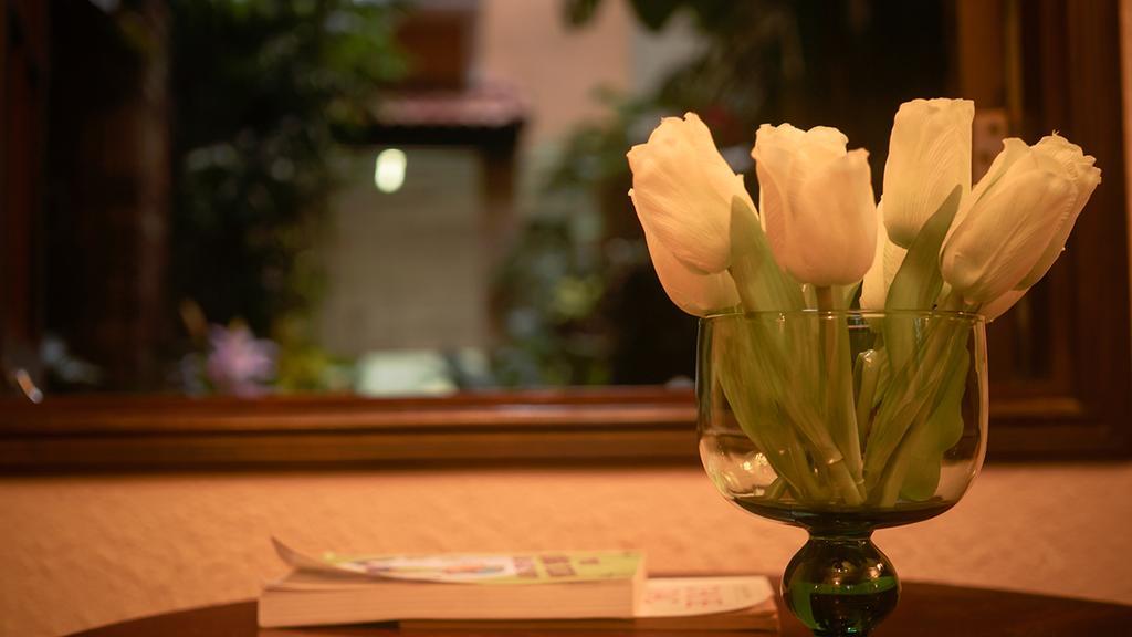 Cam Ly Boutique Apartment & Hotel Ho Chi Minh City Bagian luar foto