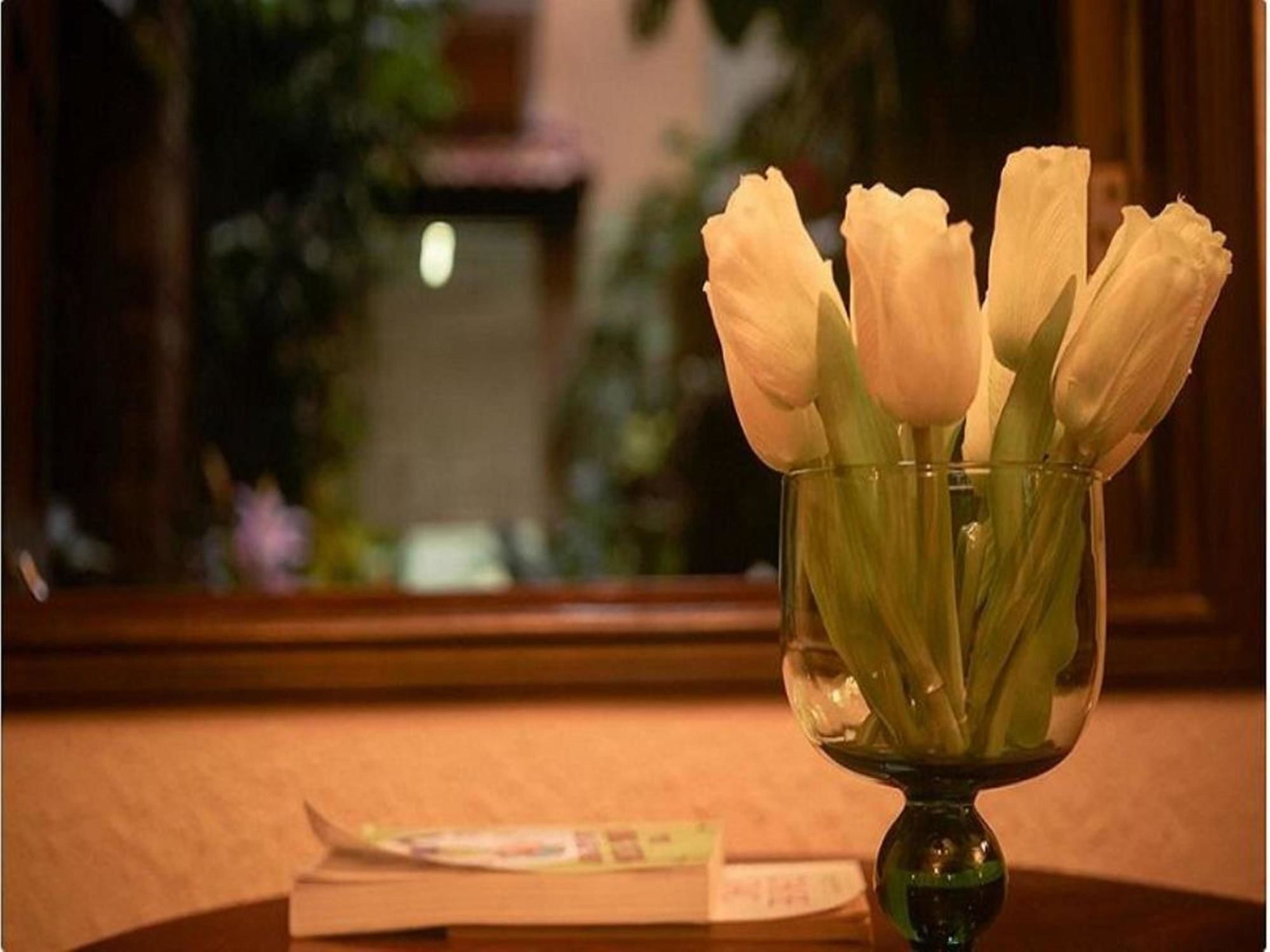 Cam Ly Boutique Apartment & Hotel Ho Chi Minh City Bagian luar foto